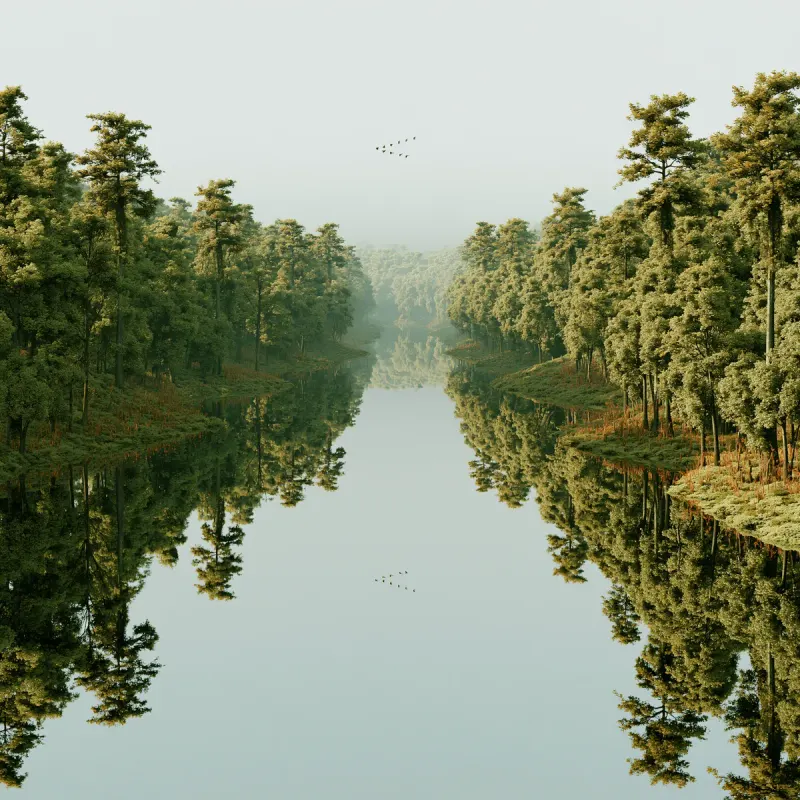 Wetlands 1